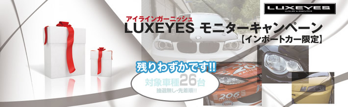 LUXEYES（アイラインガーニッシュ）モニターキャンペーン【インポートカー限定】 | エアロパーツ・ドレスアップパーツのAMS