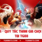 Luật Đá Gà - Quy Tắc Tham Gia Chọi Kê Chi Tiết Tại TG88