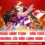 Ngầu Hầm TG88 - Sân Chơi Của Những Cái Đầu Lạnh Năm 2025
