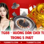Rồng Hổ TG88 - Hướng Dẫn Chơi Từ A Tới Z Trong 5 Phút