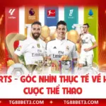 Saba Sports - Góc Nhìn Thực Tế Về Hệ Thống Cược Thể Thao